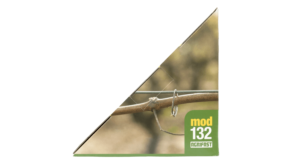 Imagen frontal del producto